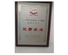 2009年获科技型中小企业技术创新基金实施十周年“优秀企业”