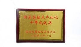 国家高技术产业化十年成就奖