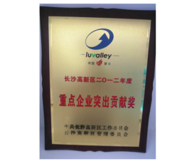 2012年长沙高新区2012年度重点企业突出贡献奖
